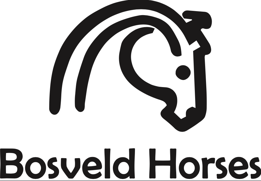 Bosveld Horses